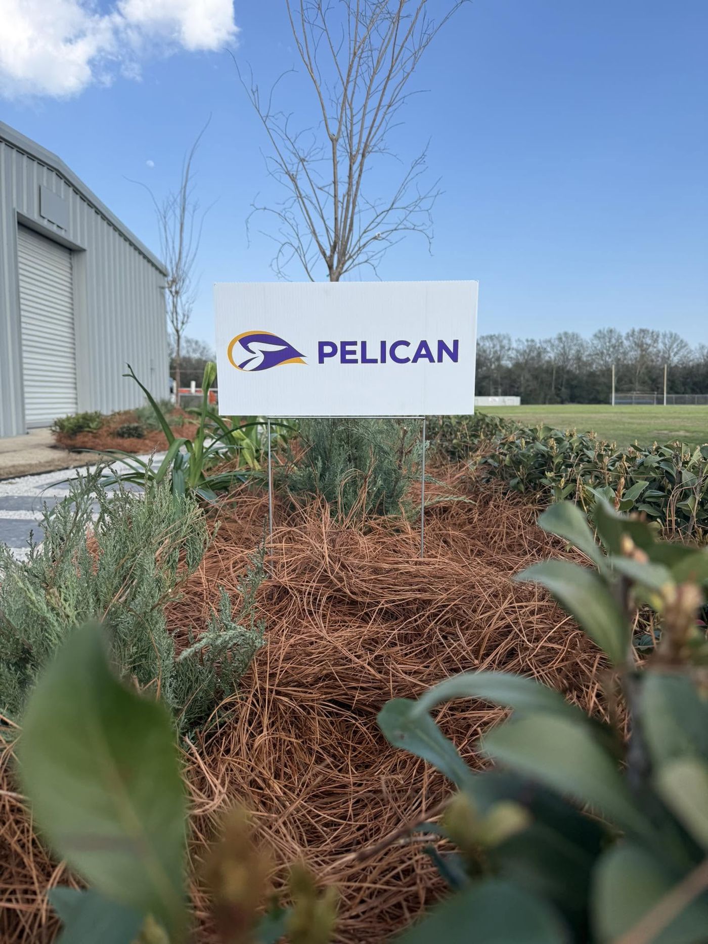New landscape bed with pine straw along a metal building